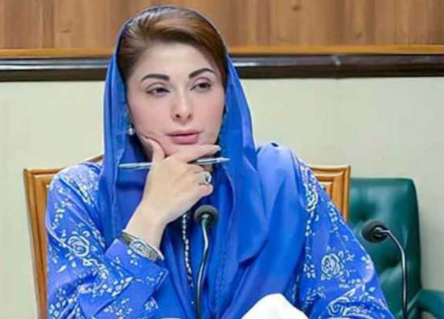 مریم نواز سے متعلق سوشل میڈیا پر توہین آمیز الفاظ کے استعمال پر ایک شخص گرفتار