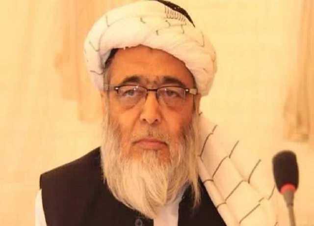 جے یو آئی (ف) کے رہنما حافظ حسین احمد انتقال کر گئے