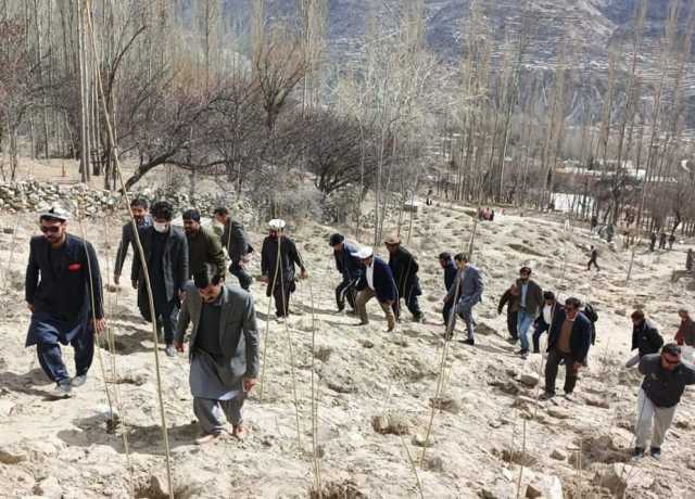 عالمی یوم جنگلات کے موقع پر ہنزہ میں شجرکاری مہم، 5 ہزار پورے لگائے گئے