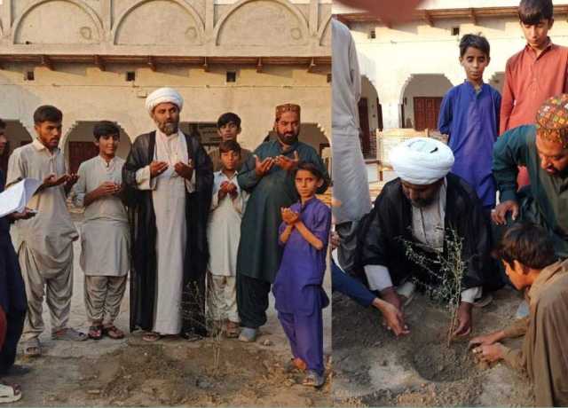 شجرکاری مہم کے دوران عوام بڑھ چڑھ کر حصہ لیں، علامہ مقصود ڈومکی