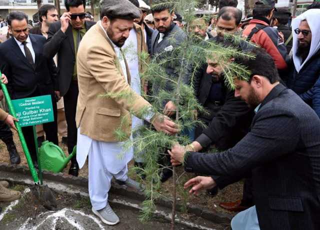 گلگت بلتستان گلوبل وارمنگ سے متاثر ہے، وزیر اعلیٰ