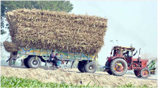 حیدرآباد: گنے سے بھری ٹریکٹر ٹرالی حادثے کا سبب بن سکتی ہے