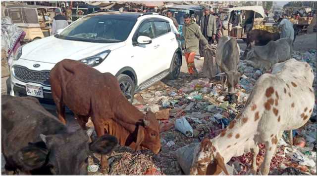 حیدرآباد: لطیف آباد نمبر 12 میں سڑک پر پڑا کچرا راہگیروں کے لیے عذاب بنا ہوا ہے