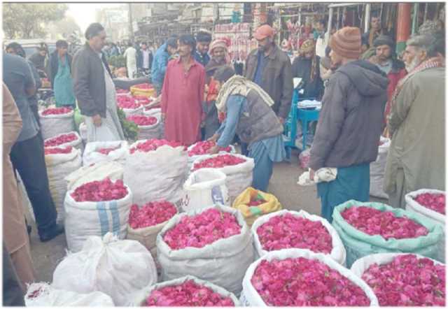 حیدرآباد: شب برآت کی آمد سے قبل پاکستان چوک پھول مارکیٹ میں پھول فروخت کیے جارہے ہیں