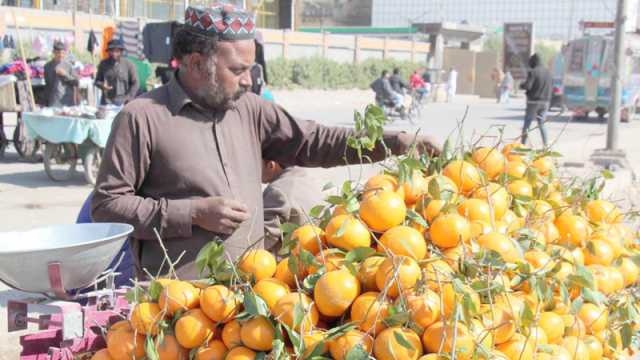 حیدرآباد: ایک شخص ٹھیلے پر سڑک کنارے مالٹے فروخت کررہا ہے