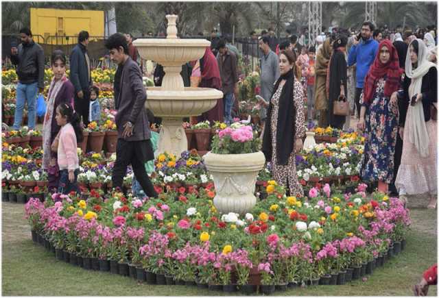 لاہور،شہری جیلانی پارک میں ہارس اینڈ کیٹل شو کی مناسبت سے منعقدہ پھولوں کی نمائش دیکھ رہے ہیں