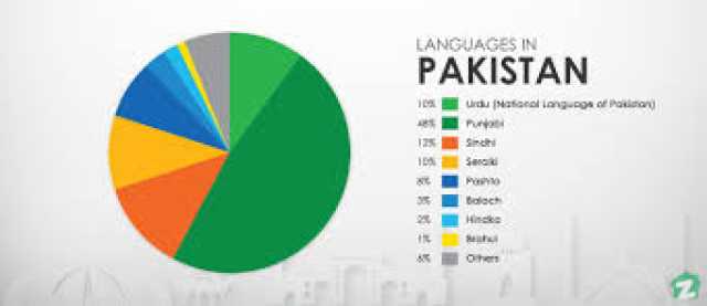 مادری زبانوں کا عالمی دن، پاکستان میں کون کون سی زبانیں بولی جاتی ہیں؟