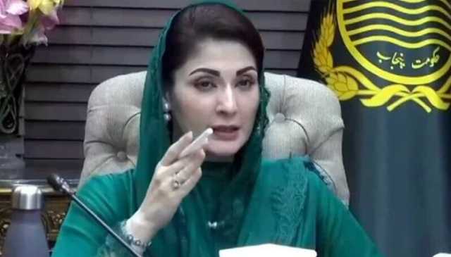 درخت لگائیں اور اسموگ کے اندھیرے مٹائیں: مریم نواز