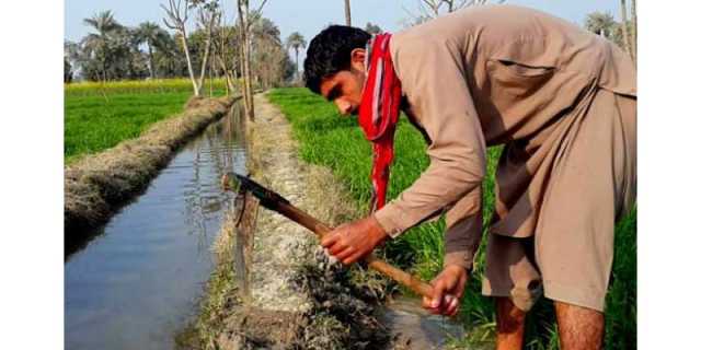 کاشتکاری کے فرسودہ طریقے پاکستانی کاشتکاروں کو مہنگے پڑ رہے ہیں. ویلتھ پاک