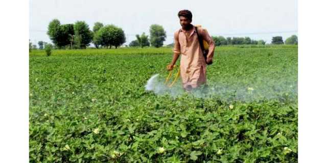 موسمیاتی تبدیلی نے فصلوں میں نئی بیماریوں اور کیڑوں کو جنم دیا ہے. ماہرین کا انتباہ