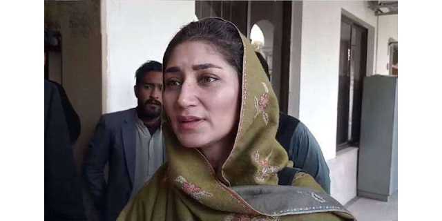 مریم نواز کے پاس جانور کا علاج ہے تو پلیٹ لیٹس گرنے کا علاج بھی ہوگا